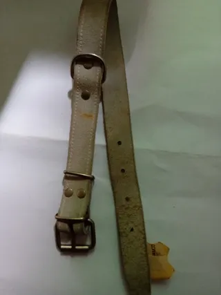 Correa para perro beige