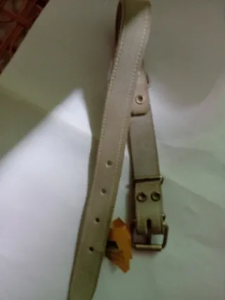 Correa para perro beige