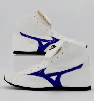 Botas de Boxeo Mizuno