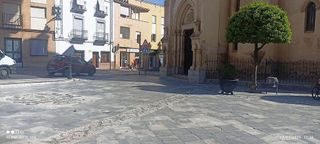 Local comercial en alquiler en Las Flores - Huerta en Gabias (Las)