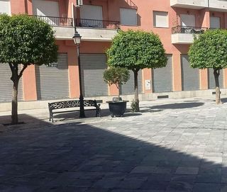 Local comercial en alquiler en Las Flores - Huerta en Gabias (Las)