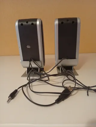 Altavoces GNS negros y plateados