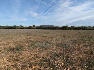 Terreno en venta en Llucmajor Interior en Llucmajor