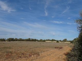 Terreno en venta en Llucmajor Interior en Llucmajor