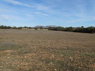 Terreno en venta en Llucmajor Interior en Llucmajor