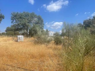 Terreno en venta en Pueblo - Urb. Norte en Valdemorillo