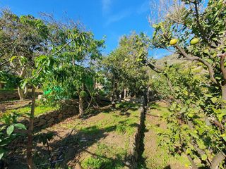 Terreno en venta en Caserones - La Higuera en Telde