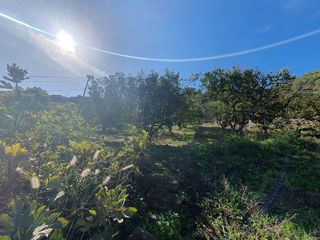 Terreno en venta en Caserones - La Higuera en Telde