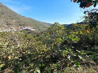 Terreno en venta en Caserones - La Higuera en Telde
