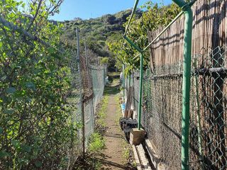Terreno en venta en Caserones - La Higuera en Telde