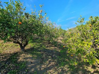 Terreno en venta en Caserones - La Higuera en Telde