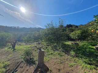 Terreno en venta en Caserones - La Higuera en Telde