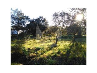 Terreno en venta en Avda. Elvas en Badajoz