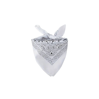 Sombrero Vaquera Blanco, Bandana y Gafas | Western