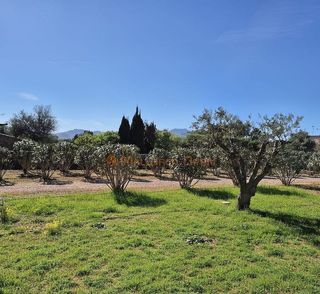 Chalet en alquiler en Manacor Centro en Manacor