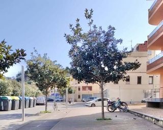 Local comercial en venta en Tossa De Mar en Tossa de Mar