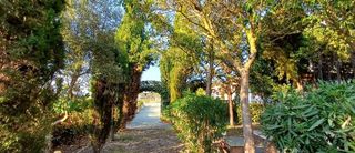 Chalet en venta en Yecla