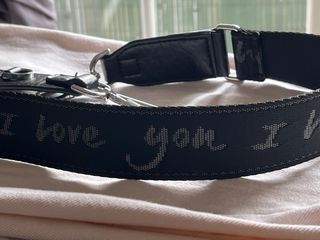 Correa Desigual Negra y Plateada