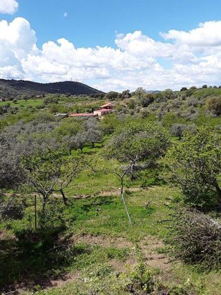 Casa rural en venta en Plasencia