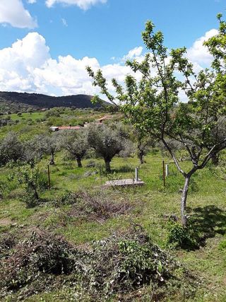 Casa rural en venta en Plasencia