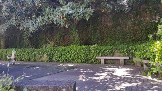 Local comercial en alquiler en San Francisco en Ourense