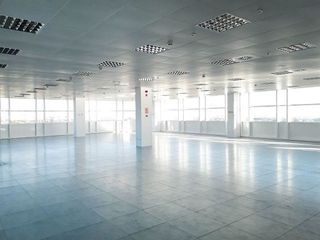 Oficina en alquiler en Salvador en Madrid