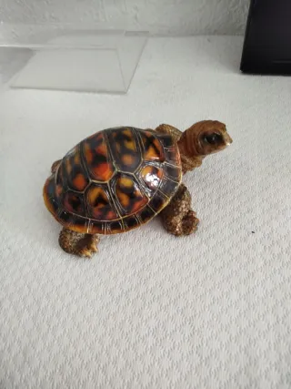 Figura Decorativa Tortuga
