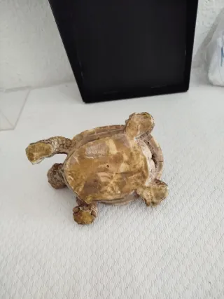 Figura Decorativa Tortuga