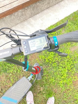 Smartgyro Speedway Patinete Eléctrico