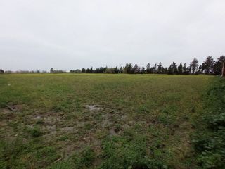 Solar en venta en Centro - Norte en Chipiona