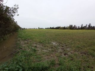 Solar en venta en Centro - Norte en Chipiona