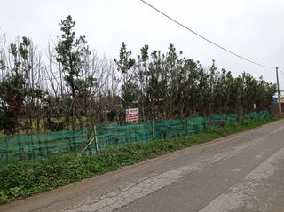 Solar en venta en Centro - Norte en Chipiona