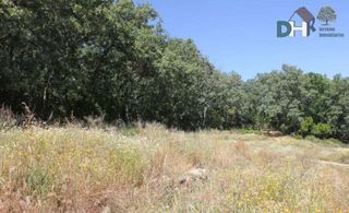 Terreno en venta en Mejostilla en Cáceres