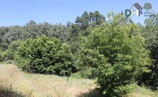 Terreno en venta en Mejostilla en Cáceres