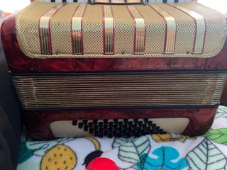 Acordeón Hohner Student V 48 bajos