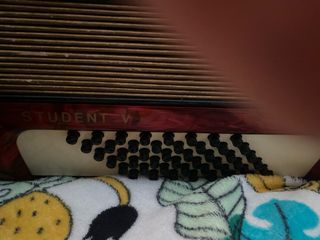 Acordeón Hohner Student V 48 bajos