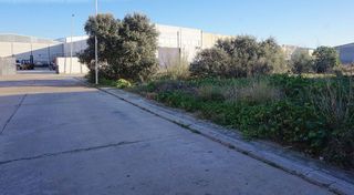 Terreno en venta en Pepino