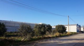 Terreno en venta en Pepino