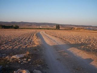 Terreno en venta en Almansa
