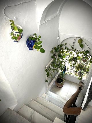 Piso en venta en Mentidero - Teatro Falla - Alameda en Cádiz