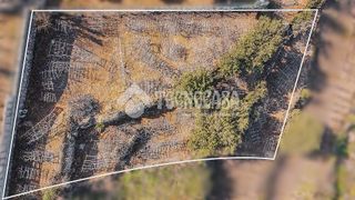 Terreno en venta en Victoria de Acentejo (La)