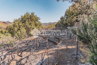 Terreno en venta en Victoria de Acentejo (La)