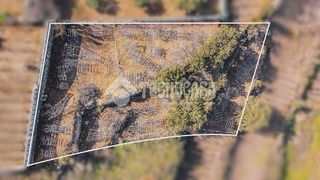 Terreno en venta en Victoria de Acentejo (La)