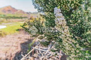 Terreno en venta en Victoria de Acentejo (La)