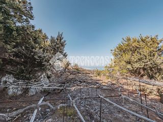 Terreno en venta en Victoria de Acentejo (La)