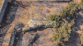 Terreno en venta en Victoria de Acentejo (La)