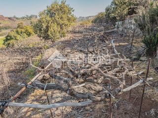Terreno en venta en Victoria de Acentejo (La)