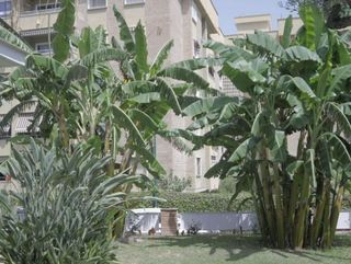 Casa adosada en alquiler en El Candado - El Palo en Málaga