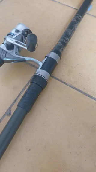 Caña de fondo incluida con carrete Shimano ALIVIO