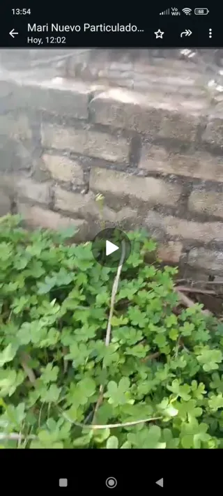 Parcela rustica en Pilas